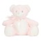 Pink Teddy