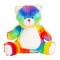 Rainbow Bear Multi